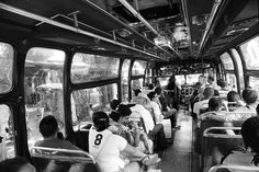 La symphonie du fourmilier