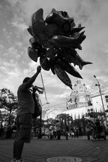 La symphonie du fourmilier 