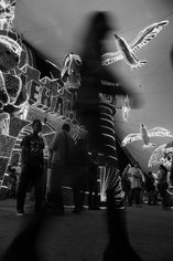 La symphonie du fourmilier