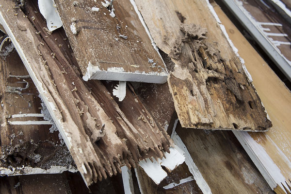 damaged wood