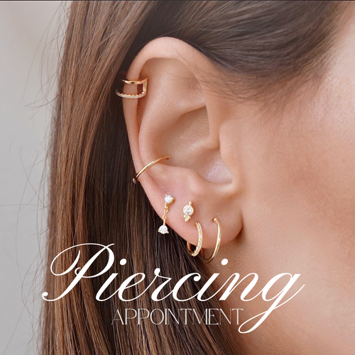 PIERCING APPOINTMENT CARI