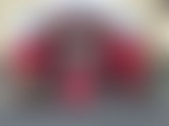 UniPinhal, participa da Procissão do Divino Espírito Santo.