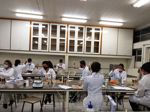 Aula Prática de Bioquímica.