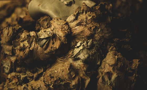 Advanced Photography Project #2