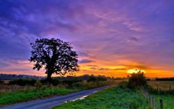 ws_Fields_Trees_Road_Fence_Sunset_1920x1200
