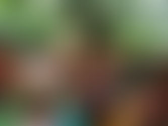 Free Sanitary Pad Donation & Menstrual Literacy Workshop |Aligarh| 20 September 2021