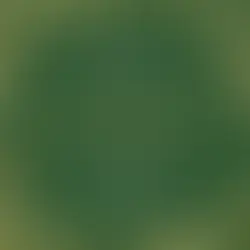 Interview with Jane Walters