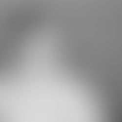 Bookshop by Kay Parquet