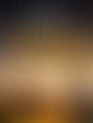 Pitching Your Manuscript to an Agent