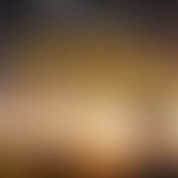 Pitching Your Manuscript to an Agent