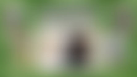 Hank Aaron's 1974 Atlanta Braves teammates reflect on 50th Anniversary of 715