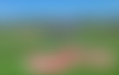 It's 'World Series or bust' as Atlanta Braves begin 2024 Spring Training