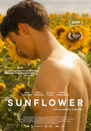 sunflower film.jpg