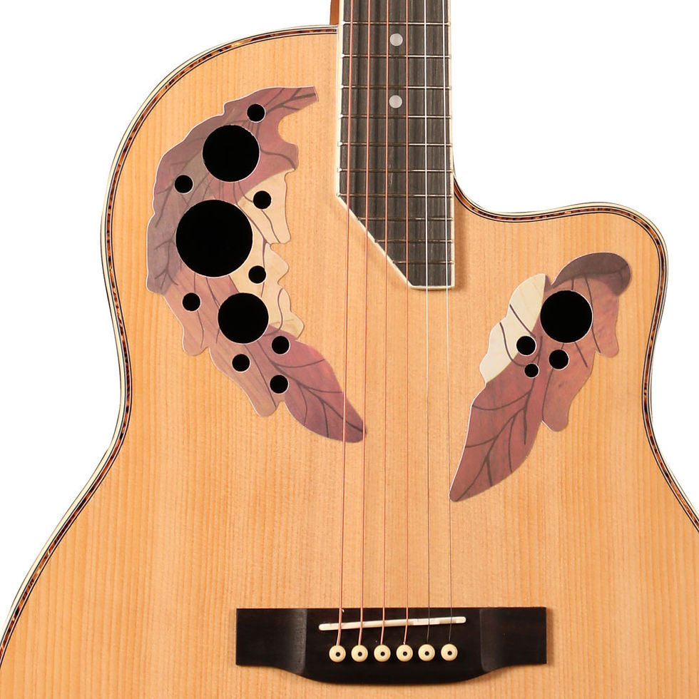 תמונה ממוזערת: גיטרה אקוסטית OVATION STYLE GUITAR