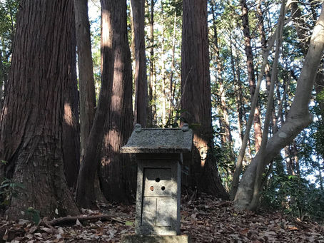 【第3回目：わとびらの春まつり公演】見どころご紹介　★そのいち★　