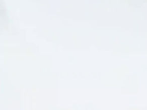 アトリエでの仕事美しいピンクサファイアを探す