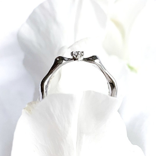 Swan / スワン ファッションリング | BELLE BLANCHE