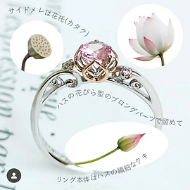 ロータス LOTUS | BELLE BLANCHE (ベルブランシュ)