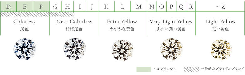 カラー (1).jpg