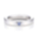 BabyRing PhotoGallery リュバンバンド