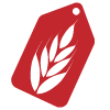 FAVICON-COMPREGERMANI.png