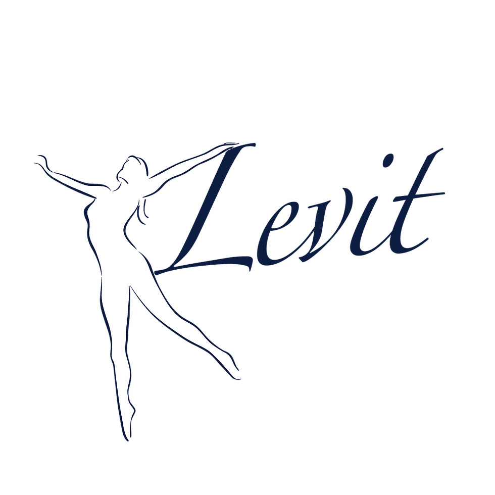 LEVIT