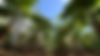 The farm on 20250704