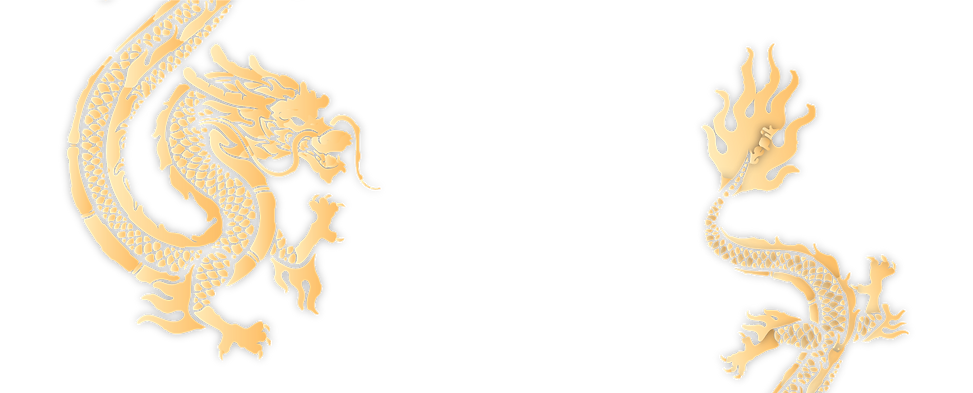 dragon-new-No-BG.png