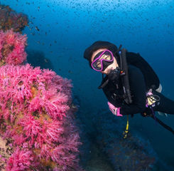 Orcaoktavia | Liveaboard | Thailand
