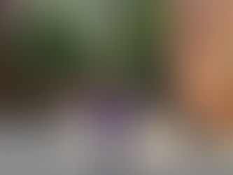 ลูกกอล์ฟเตือนสติเยาวชน อย่ามัวแต่ถ่ายคลิปเวลาข้ามถนน