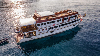 Orcaoktavia | Liveaboard | Thailand