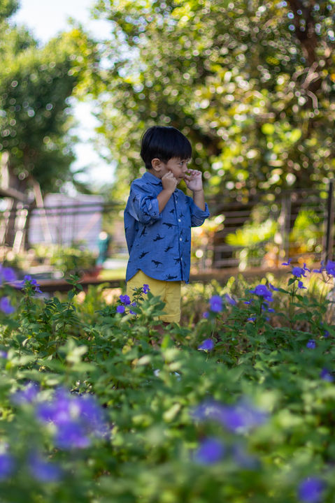 Nayhua | นายหัวคาเฟ่ & ชั้นหวังเรสเตอรองท์ | นครนายก