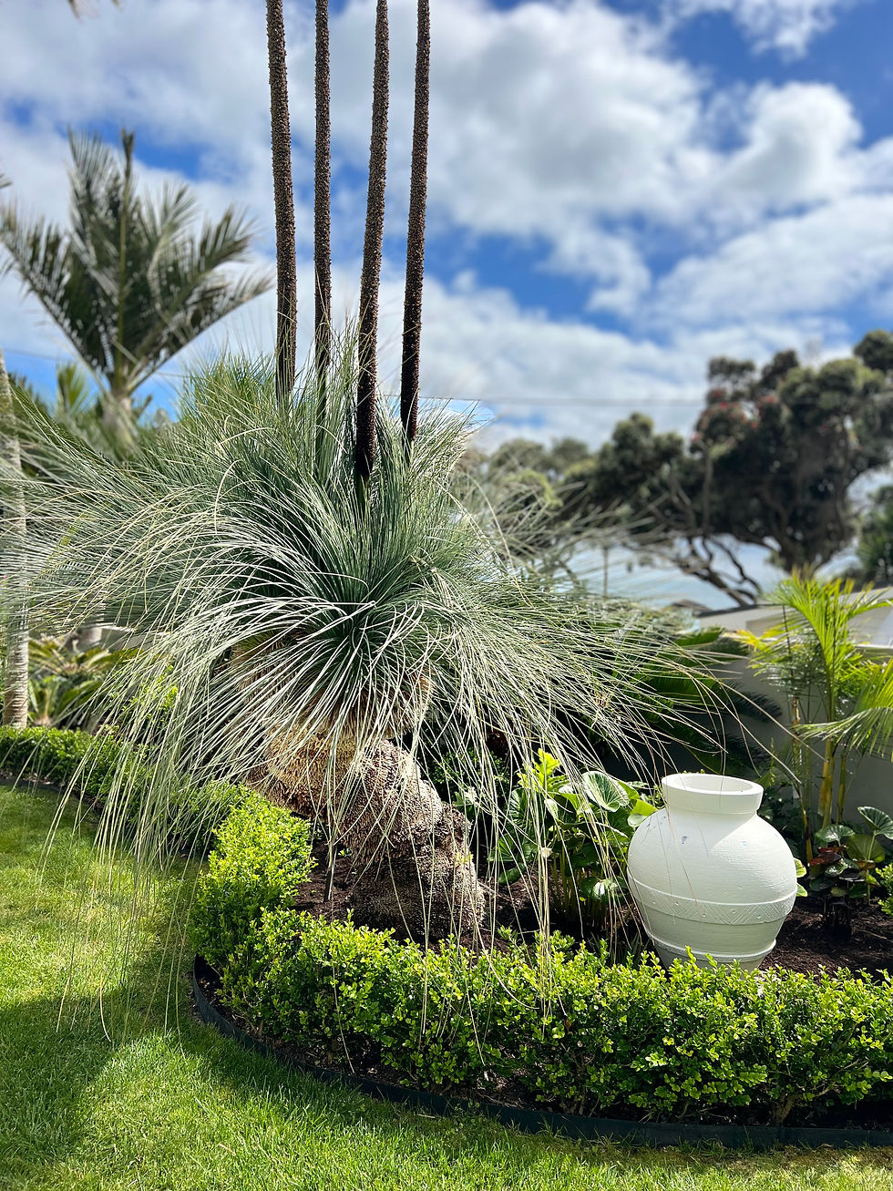 Park Ave Garden