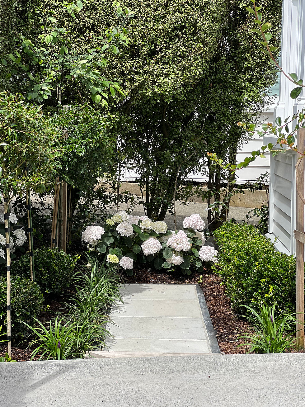St Mary's Rd Garden