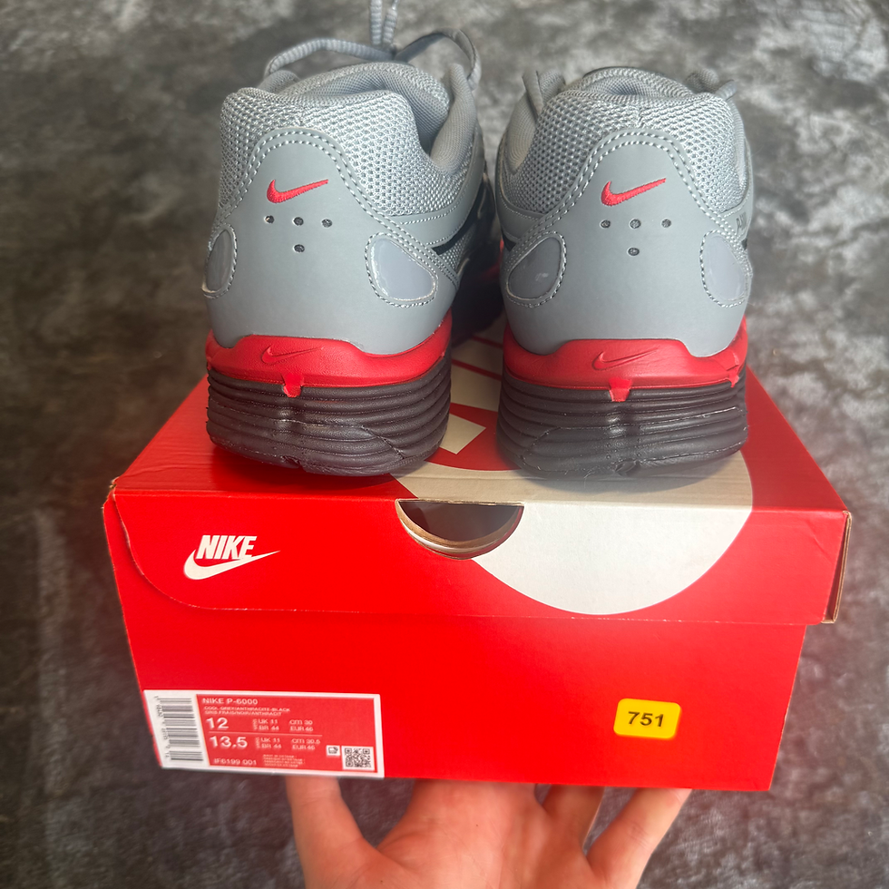 Thumbnail: Nike P-6000