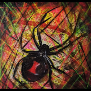 Black Widow Spider