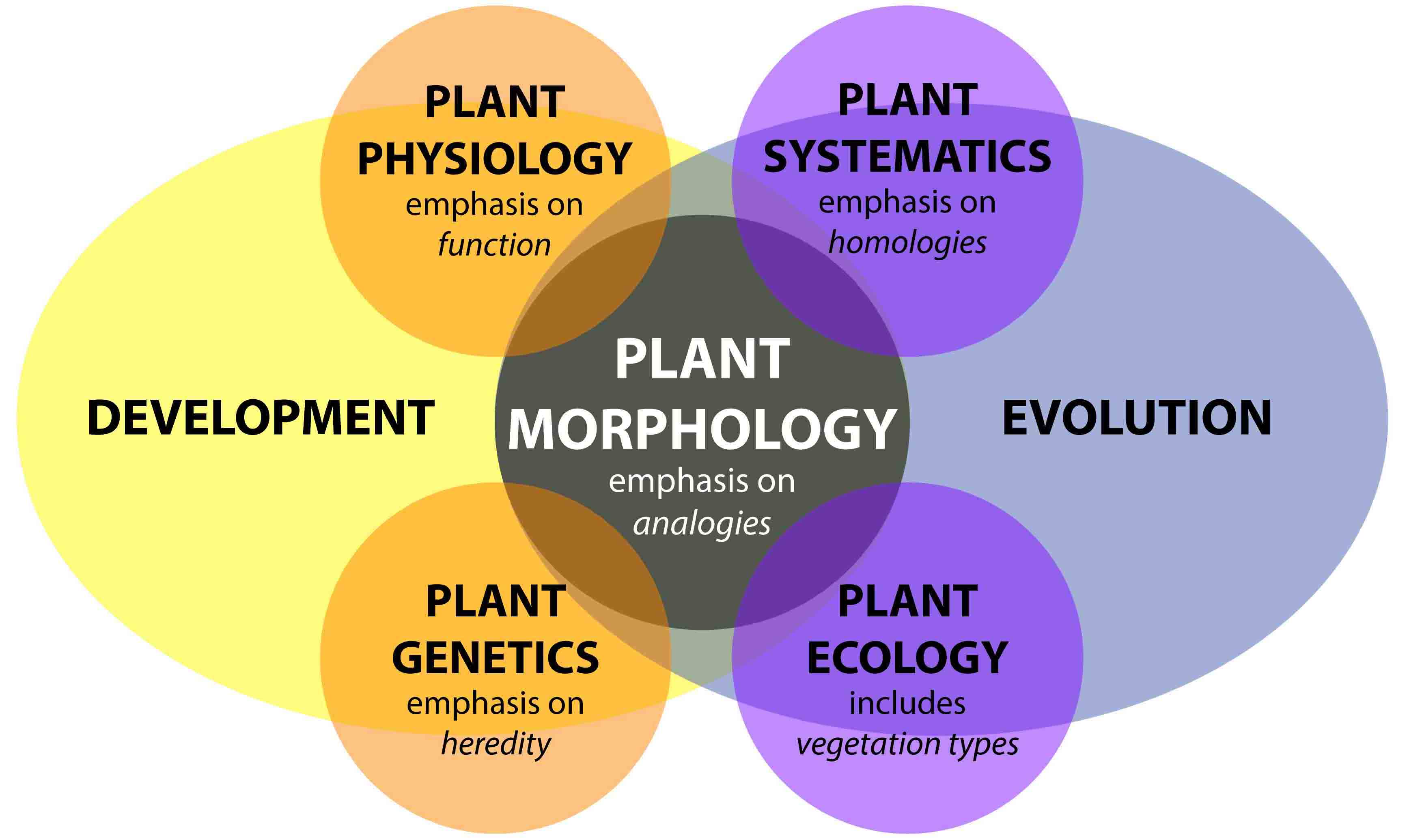 Bucksch et al. 2017