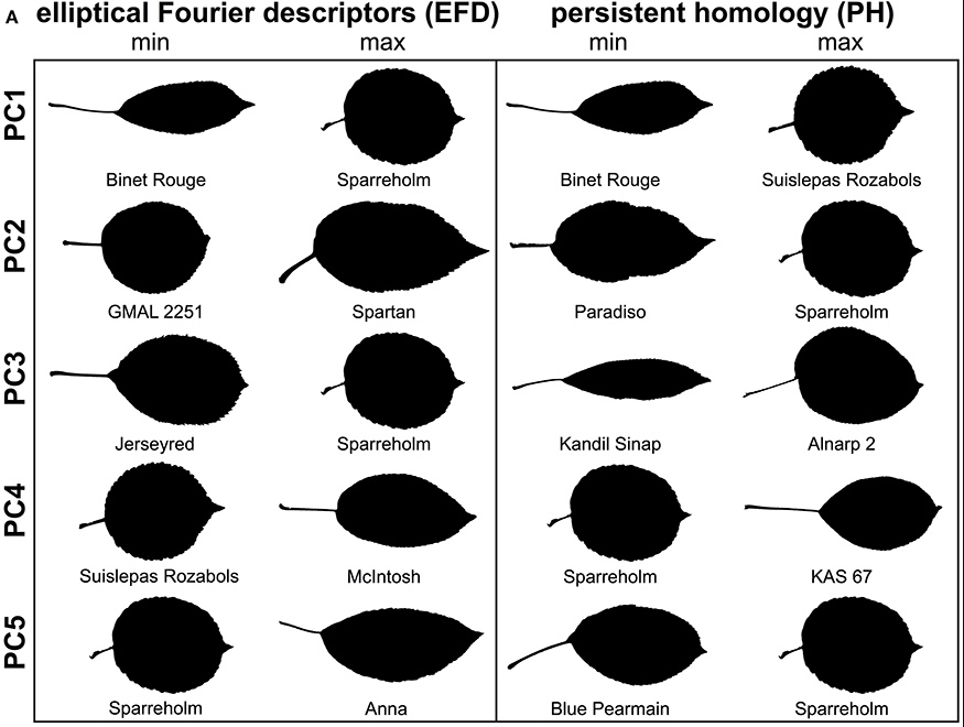 Migicovsky et al. 2018