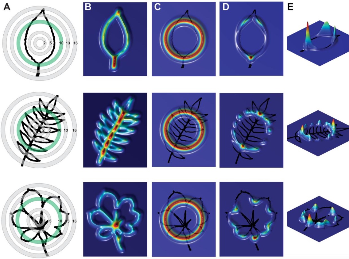Li et al. 2018