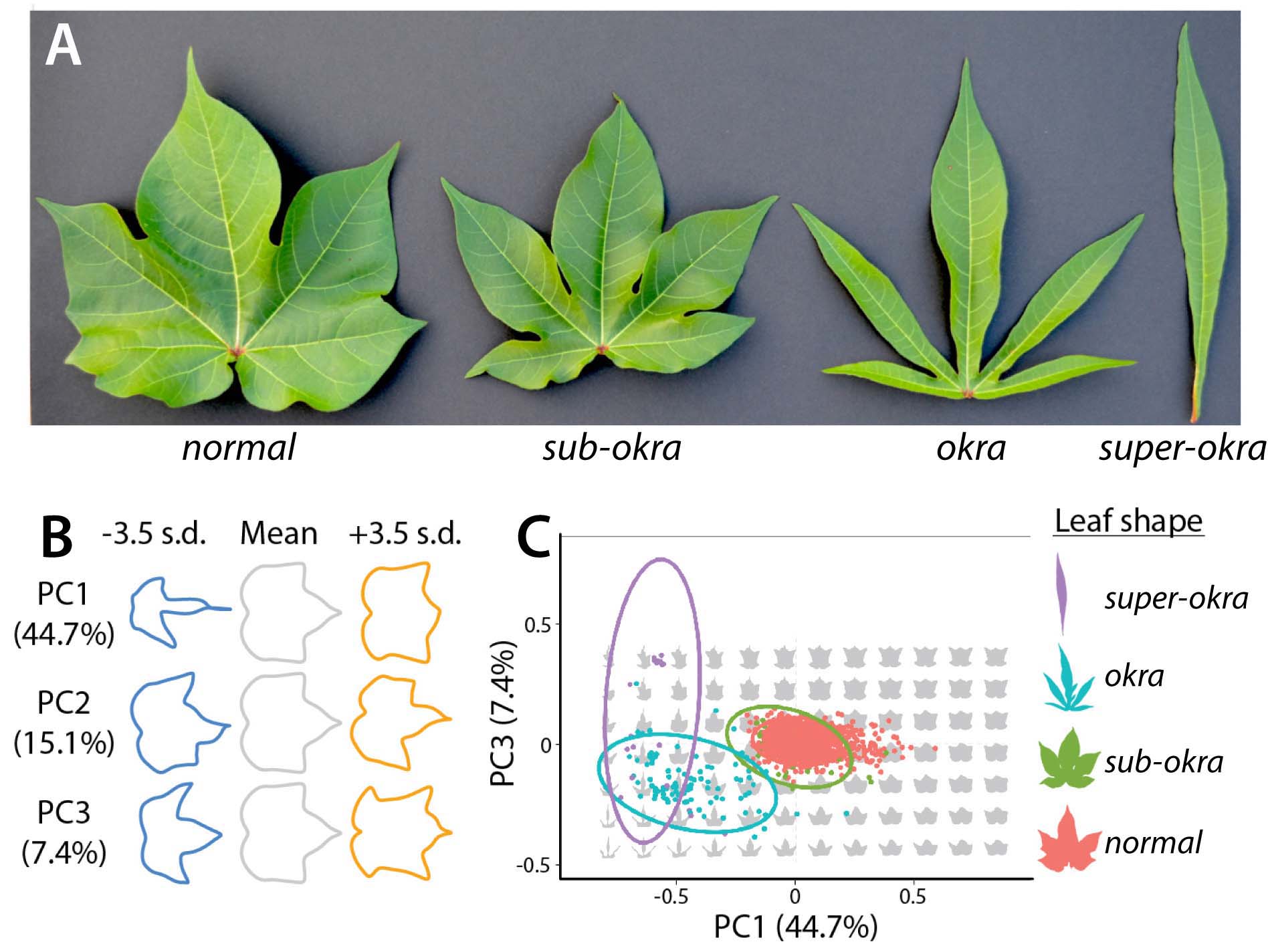 Andres et al. 2017