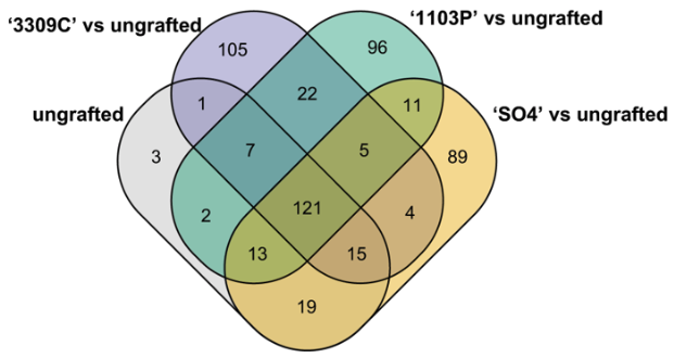 Migicovsky et al. 2019