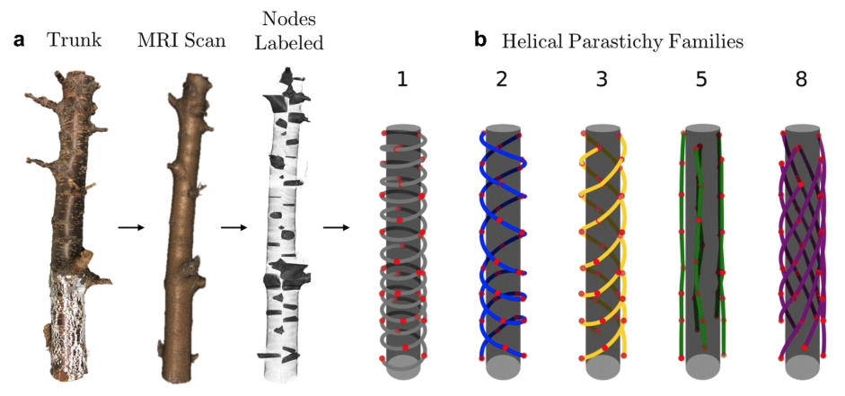 Eithun et al. 2019