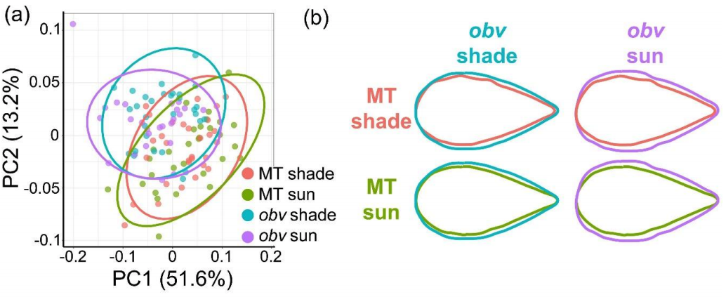Barbosa et al. 2018