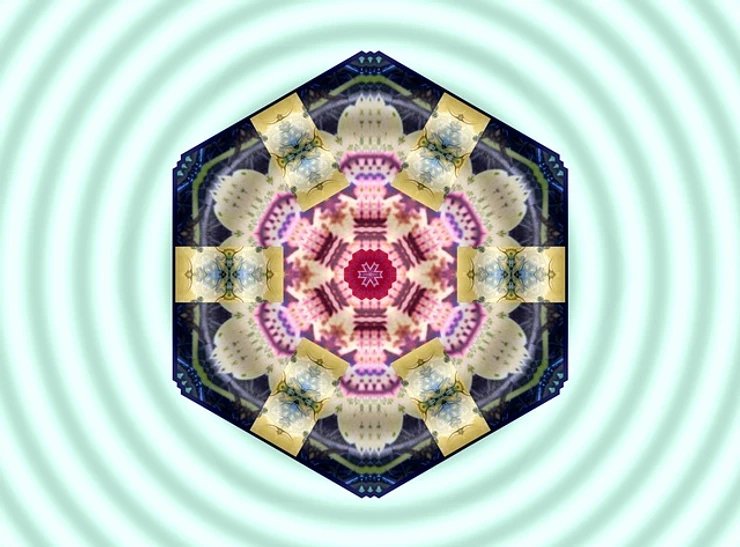 How to manifest love? A complete guide 4 ce338e 01d6fcee7a3f4d35ac1887e8c1f98d99~mv2