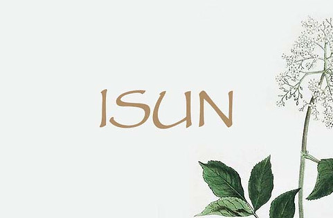 ISUN+2.jpg