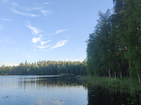 Jäsentiedote 5/2026