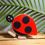 Thumbnail: Ladybird On A Ramp