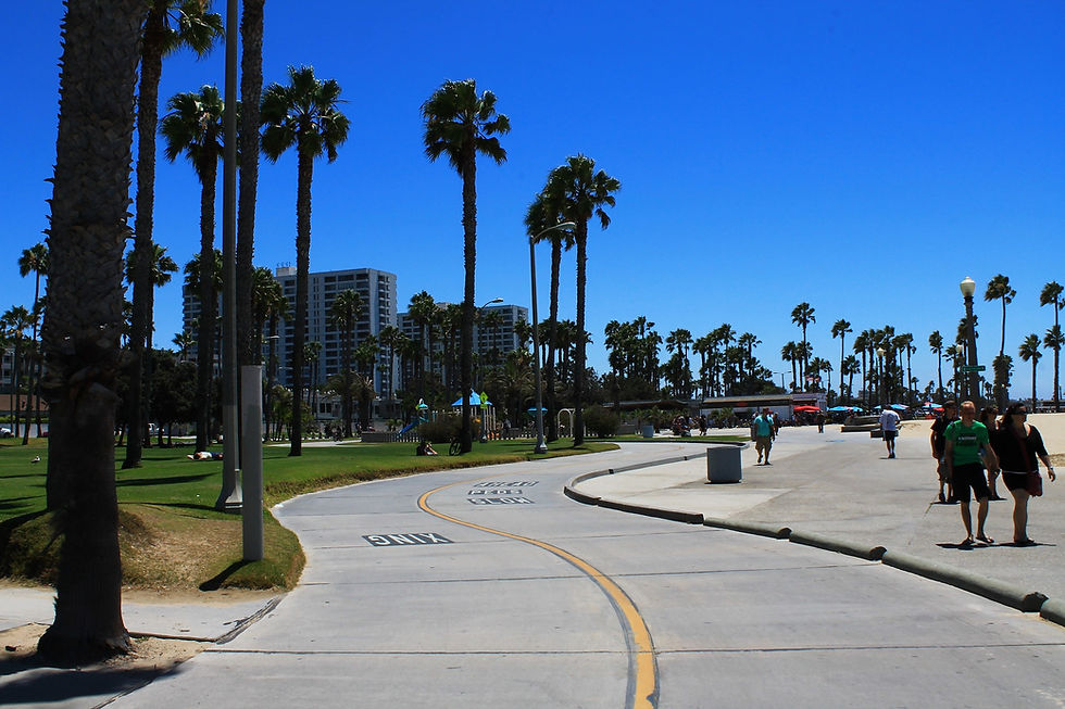 Santa Monica Street (free).jpg