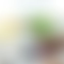 Action Media se jette à l'eau