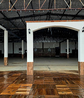 salon el fieston.jpg